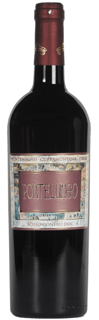 Pontemagno Pontelungo Rosso Conero
