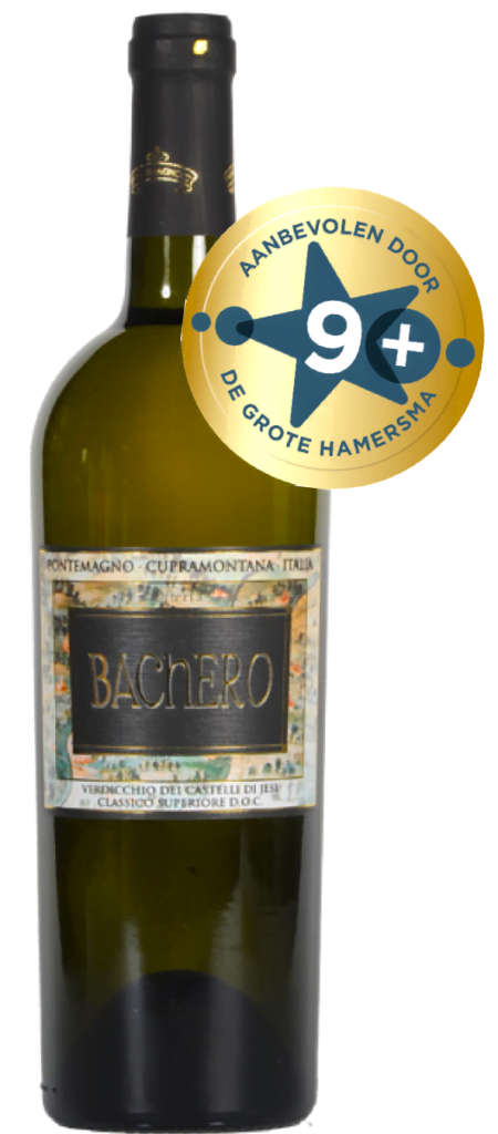 Bachero Verdicchio Castelli di Jesi Classico Superiore DOC